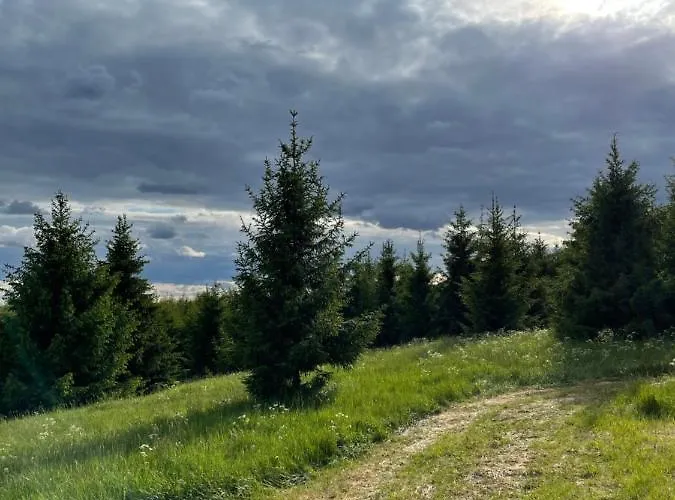 Restu Forrest Glamp