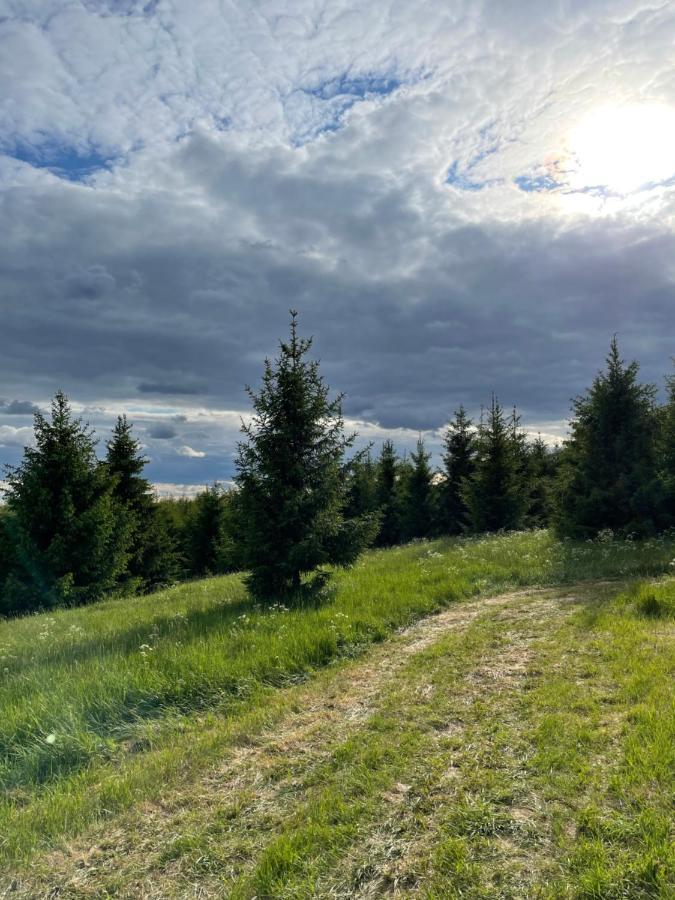 Luxuszelt Restu Forrest Glamp